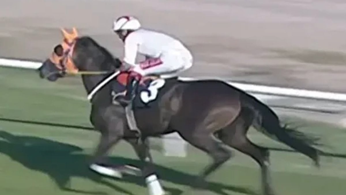 Mersin’de kavurma yapılan at, İngiliz gazetelerine manşet oldu