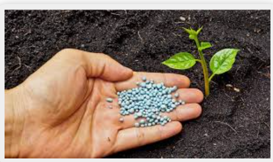 Tarımda “Kusursuz Fırtına”: İran Savaşı Gübre Fiyatlarını Patlattı