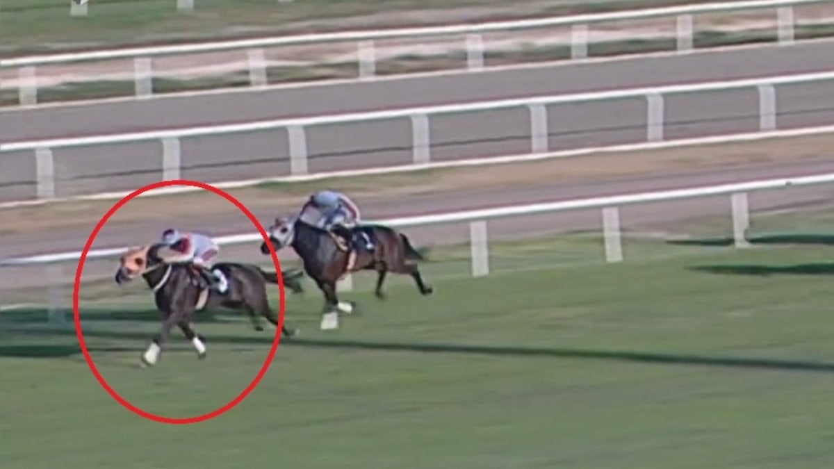 Yarış atı kavurma skandalında yeni gelişme: Sahibine 132 bin TL ceza