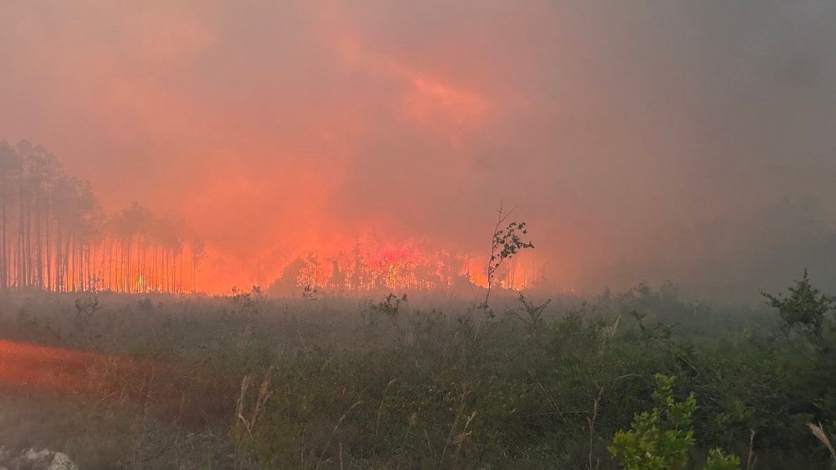 ABD’de orman yangını: 120’den fazla ev küle döndü
