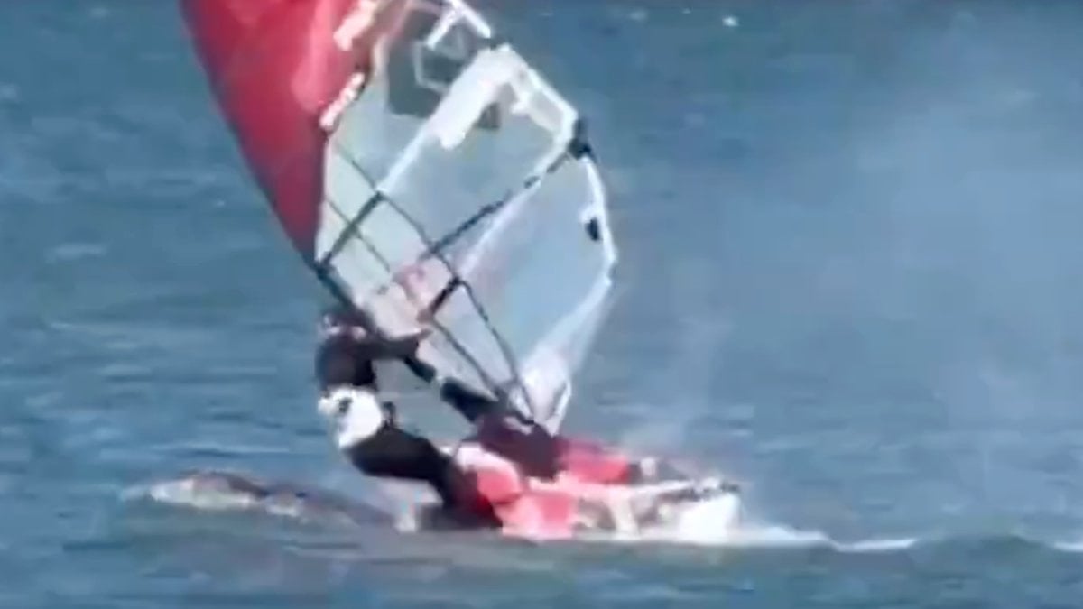 ABD’de sörf yapan bir vatandaş balina ile çarpıştı