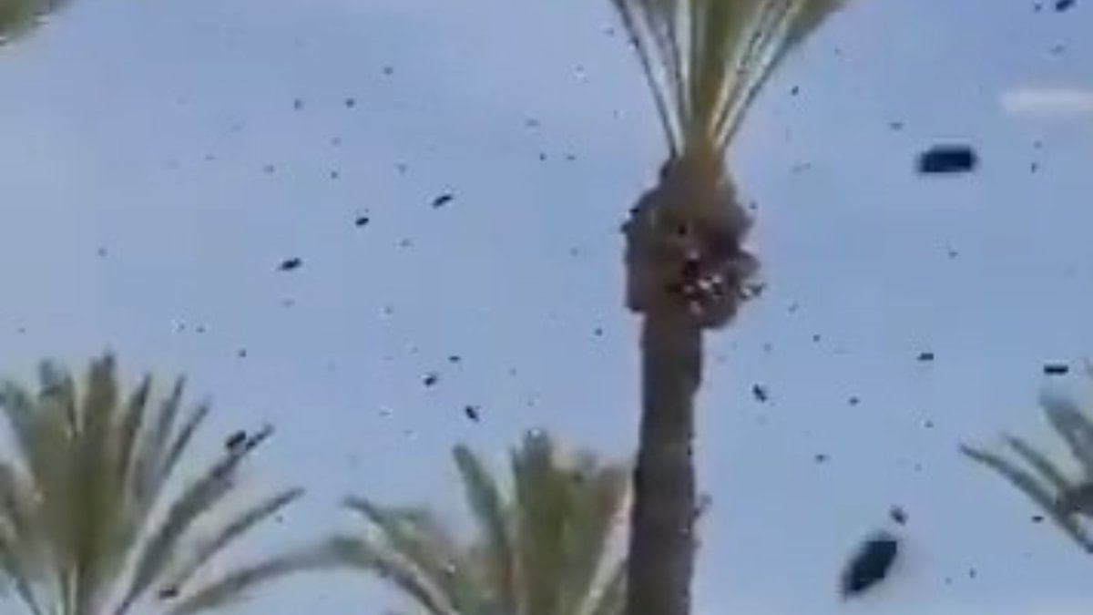 İsrail’de arı istilası uçakları durdurdu: Halka ‘evinizden çıkmayın’ uyarısı yapıldı
