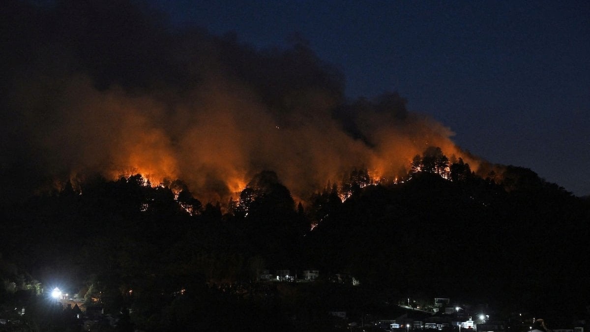 Japonya’da orman yangınları 6 gündür sürüyor