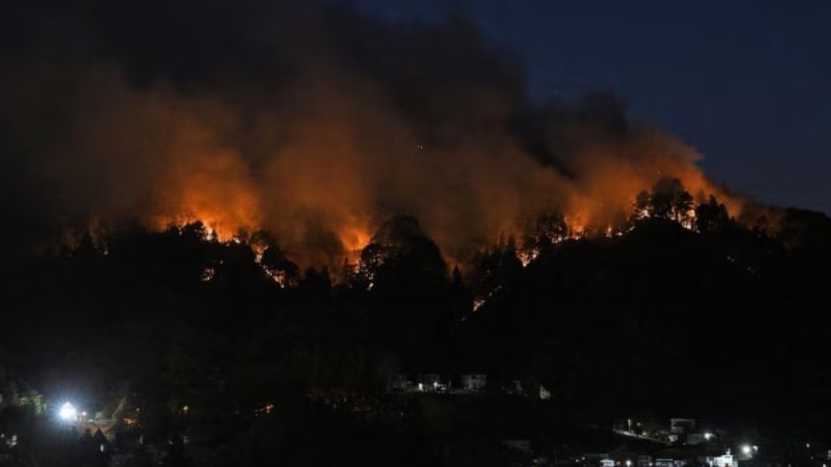 Japonya’da orman yangınları büyüyor: 1000 hektardan fazla alan kül oldu