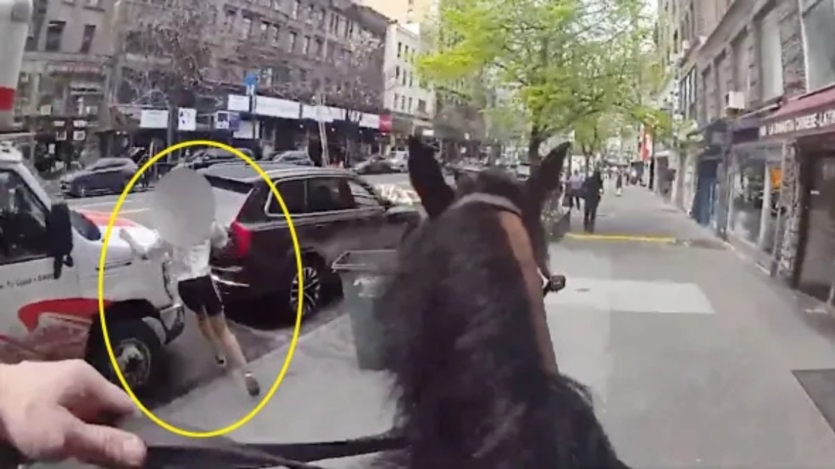 New York’ta film gibi takip: Atlı polis hırsızı kıskıvrak yakaladı