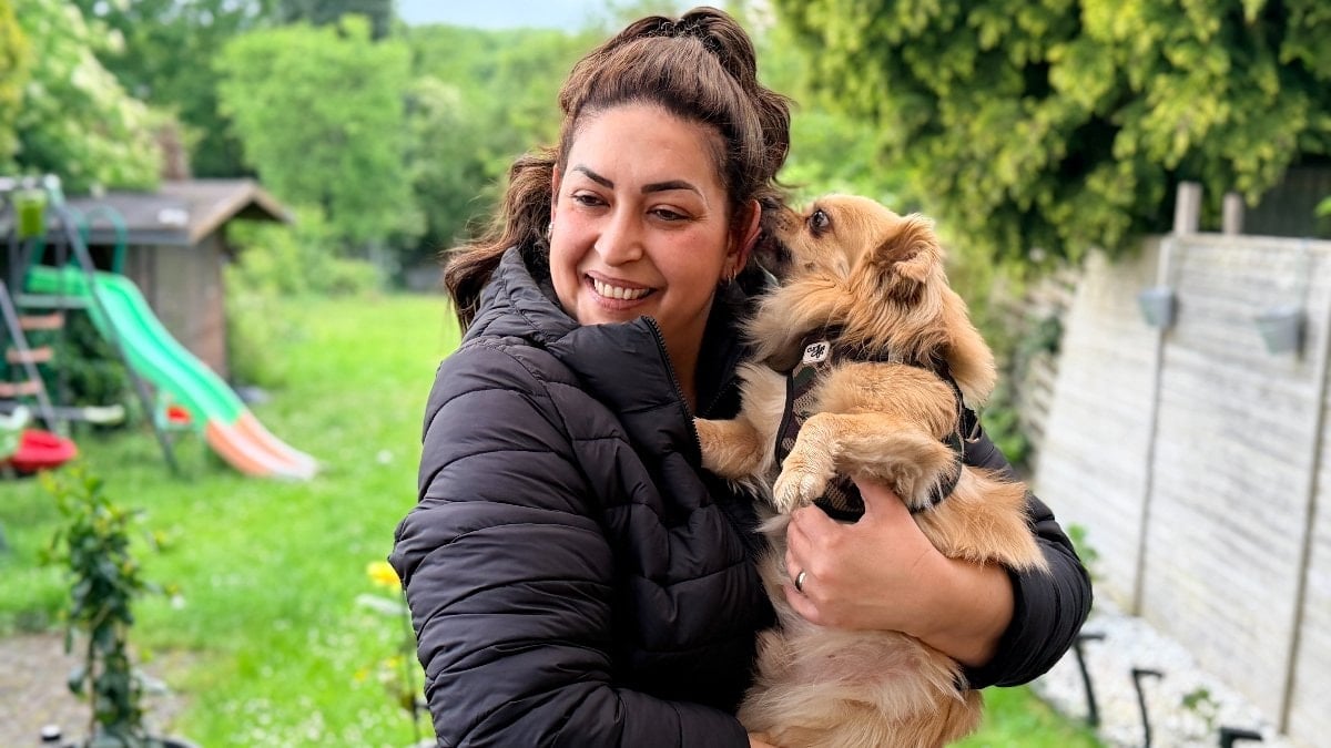 Almanya’da köpek sahiplerine yeni kural: Sorumluluk sigortası yaptırılacak