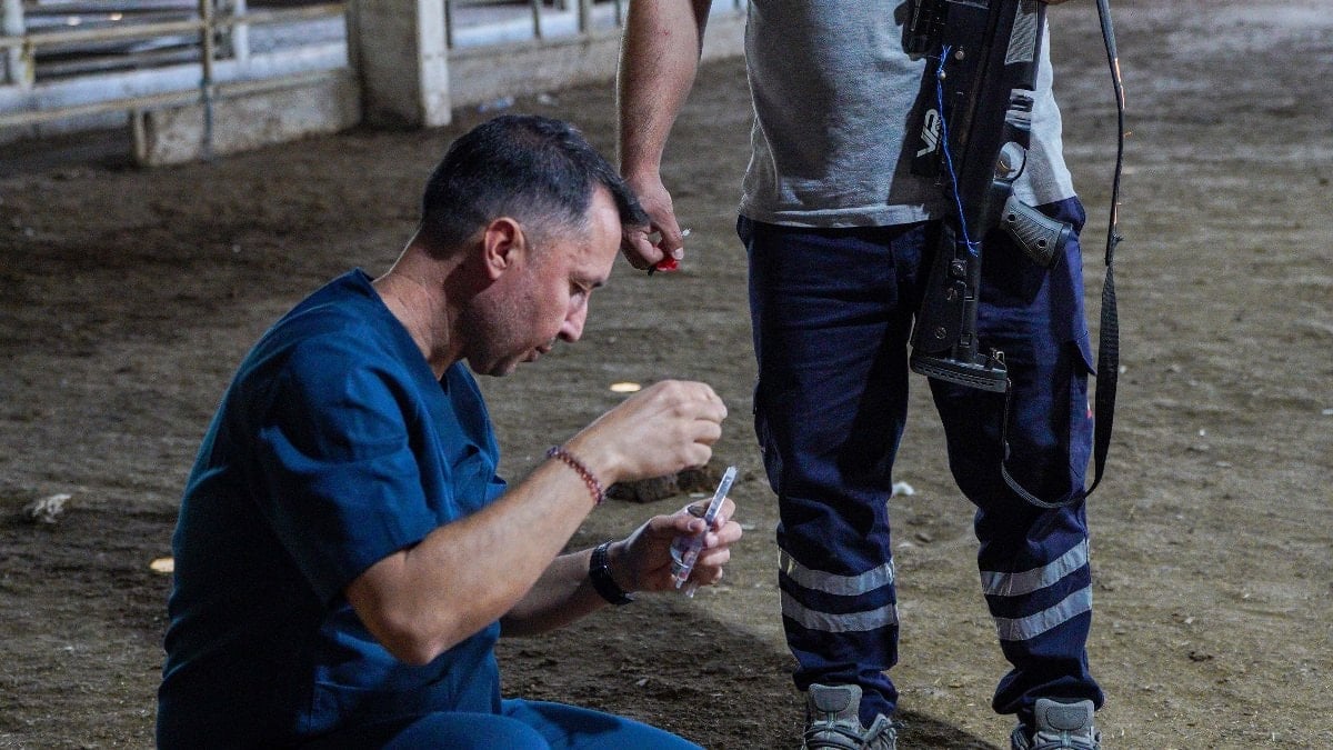 Antalya’da hayvan yakalama timi göreve hazır