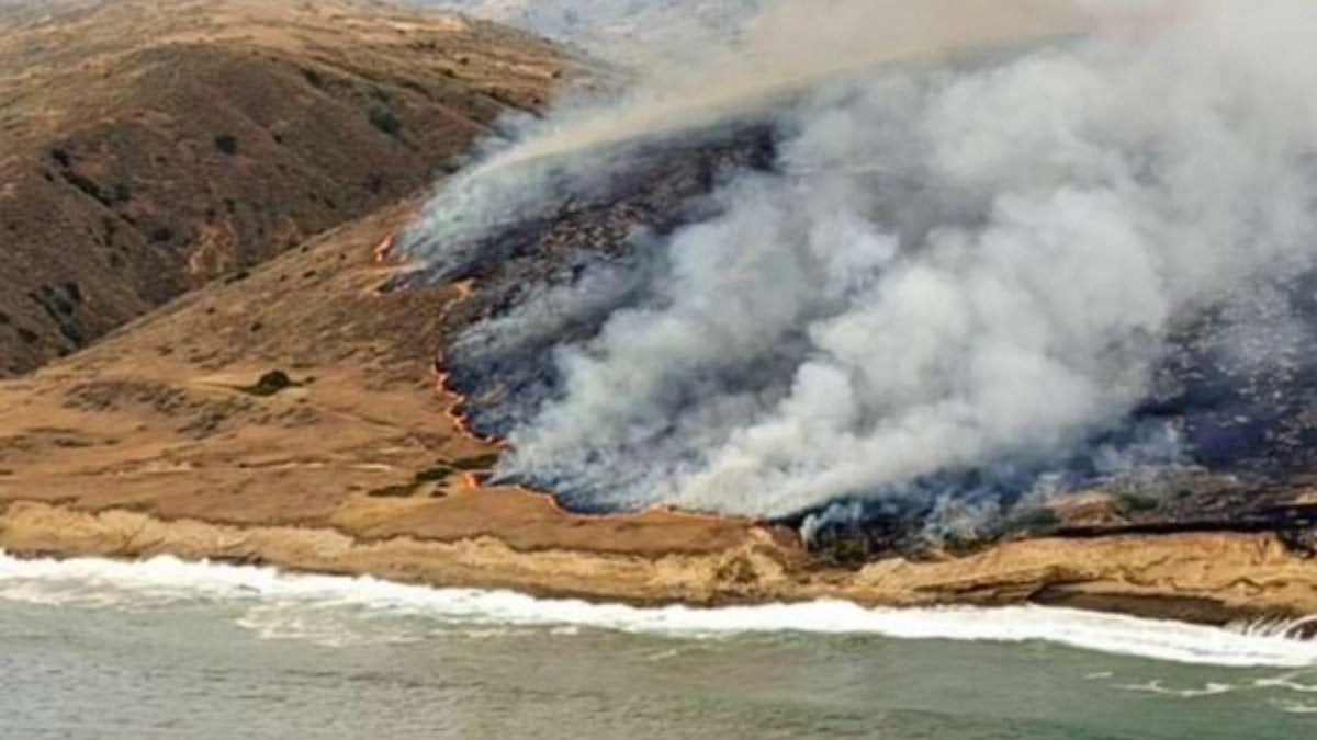 California’da yangın: Binlerce dönüm kül oldu