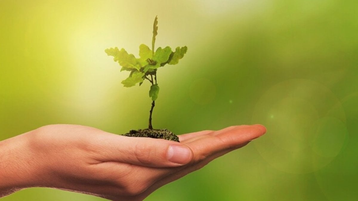 COP31 kapsamında 2’nci ‘Çevre ve İklim Medya Turu’ düzenlenecek