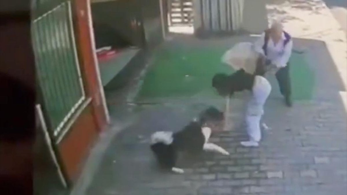 İstanbul’da köpek dehşeti: Küçük kızın kolunu ısırdı