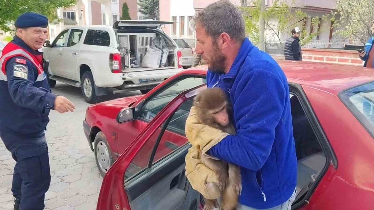 Yozgat’ta köy yolunda Hint şebeği bulundu