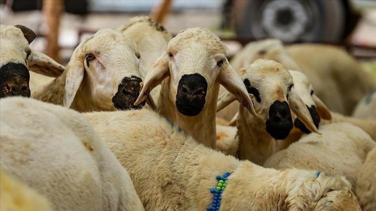 Zilhicce hilali görüldü: Kurban Bayramı 27 Mayıs’ta idrak edilecek
