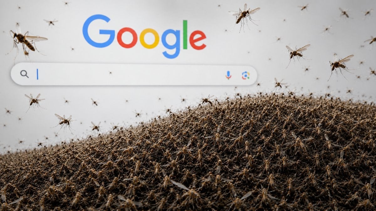 Google, doğaya 32 milyon sivrisinek bırakacak! İşte nedeni