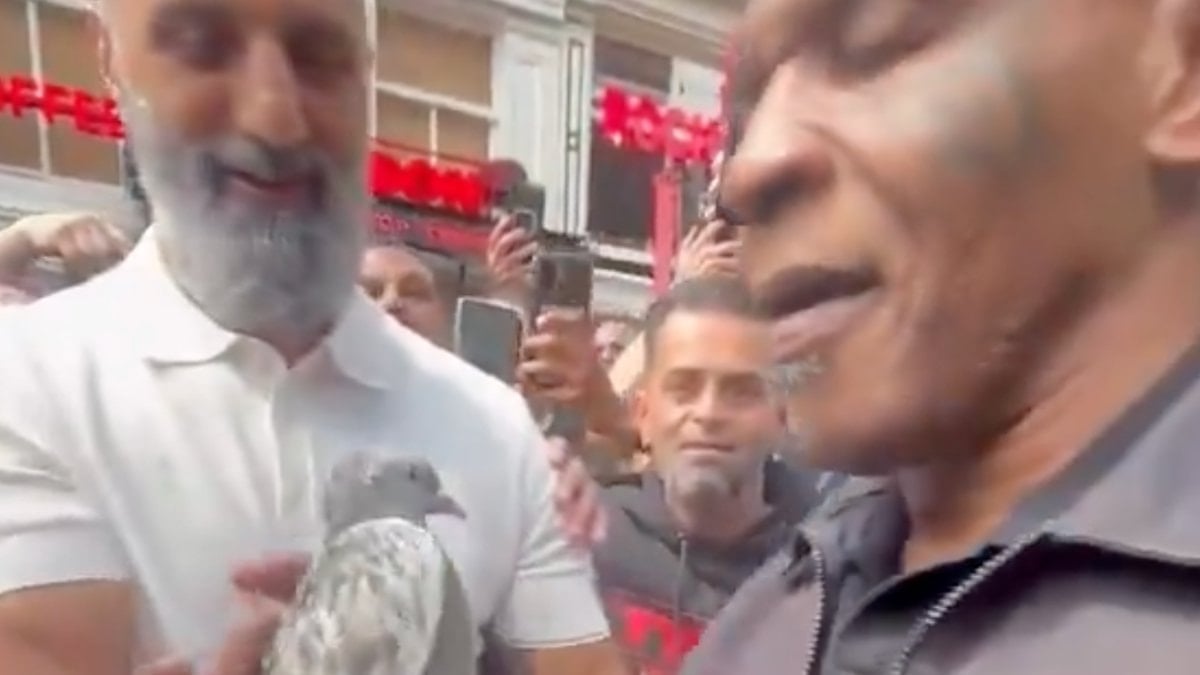 Hollanda’da Mike Tyson’a bir Türk, güvercin hediye etti