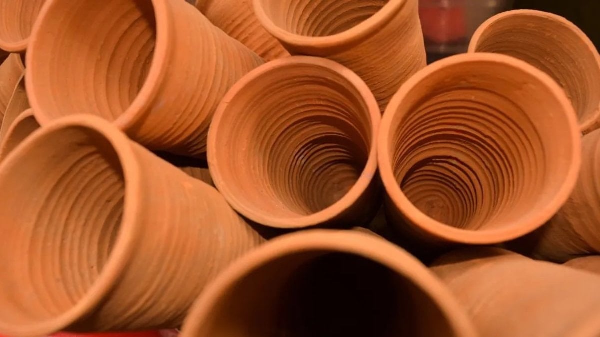 Klimaları kapatın: Çatısına 7 bin tane dizdi, evini doğal doğal serinletti
