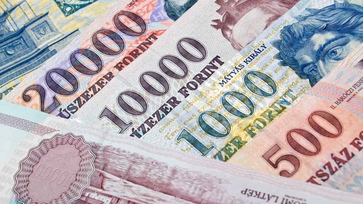 Macaristan’da yerli para birimi tarihe karışacak: Euroya geçiyorlar
