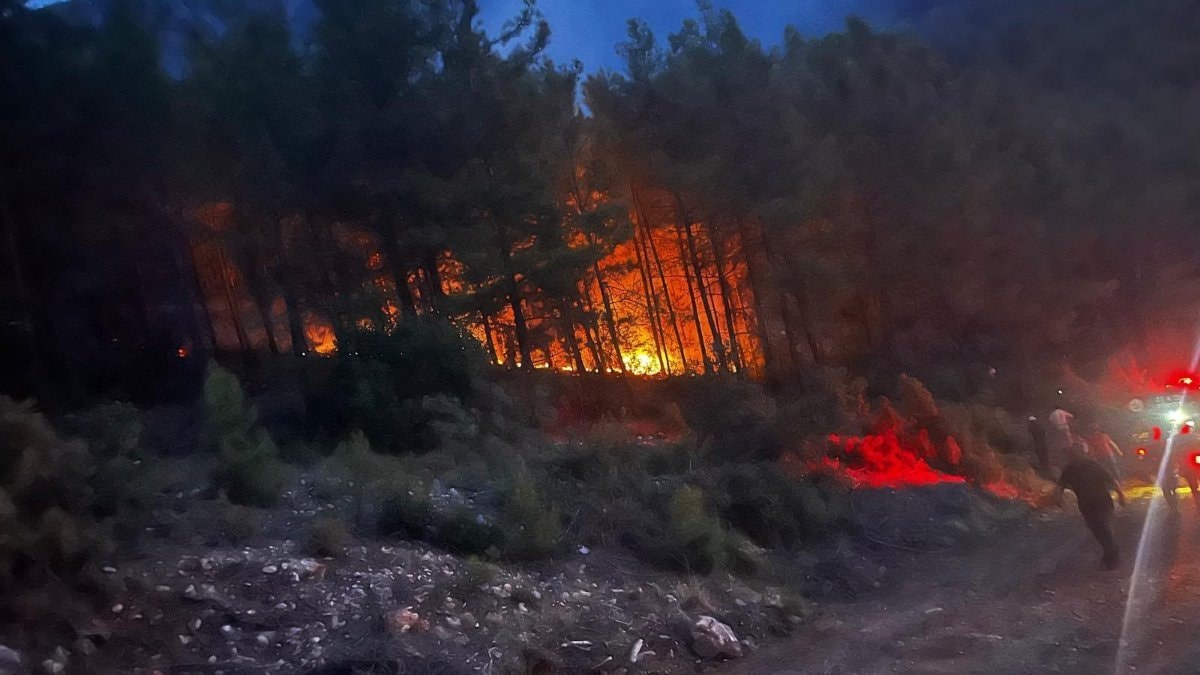 Alanya’da ormanlık alanda çıkan yangın kontrol altına alındı