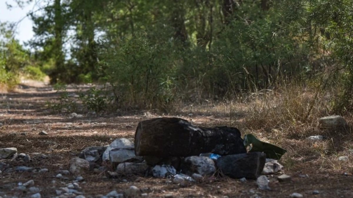 Antalya’da yasağa rağmen mangal duyarsızlığı