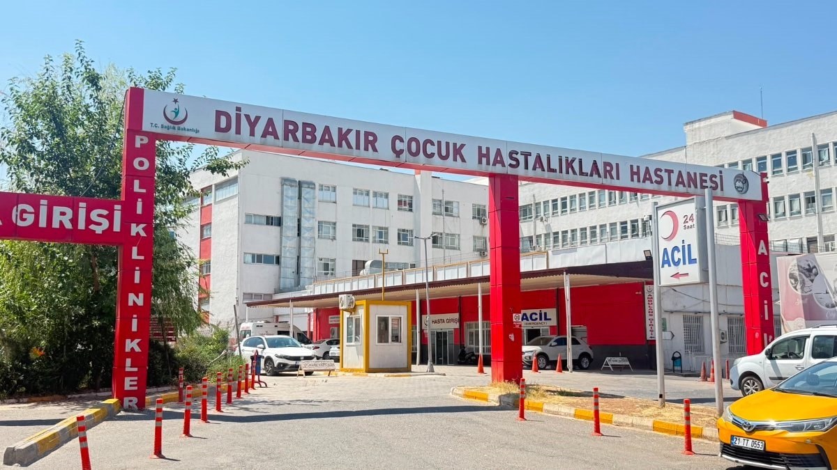 Diyarbakır’da kedinin ısırdığı çocuk entübe edildi, testlerde kuduz çıktı