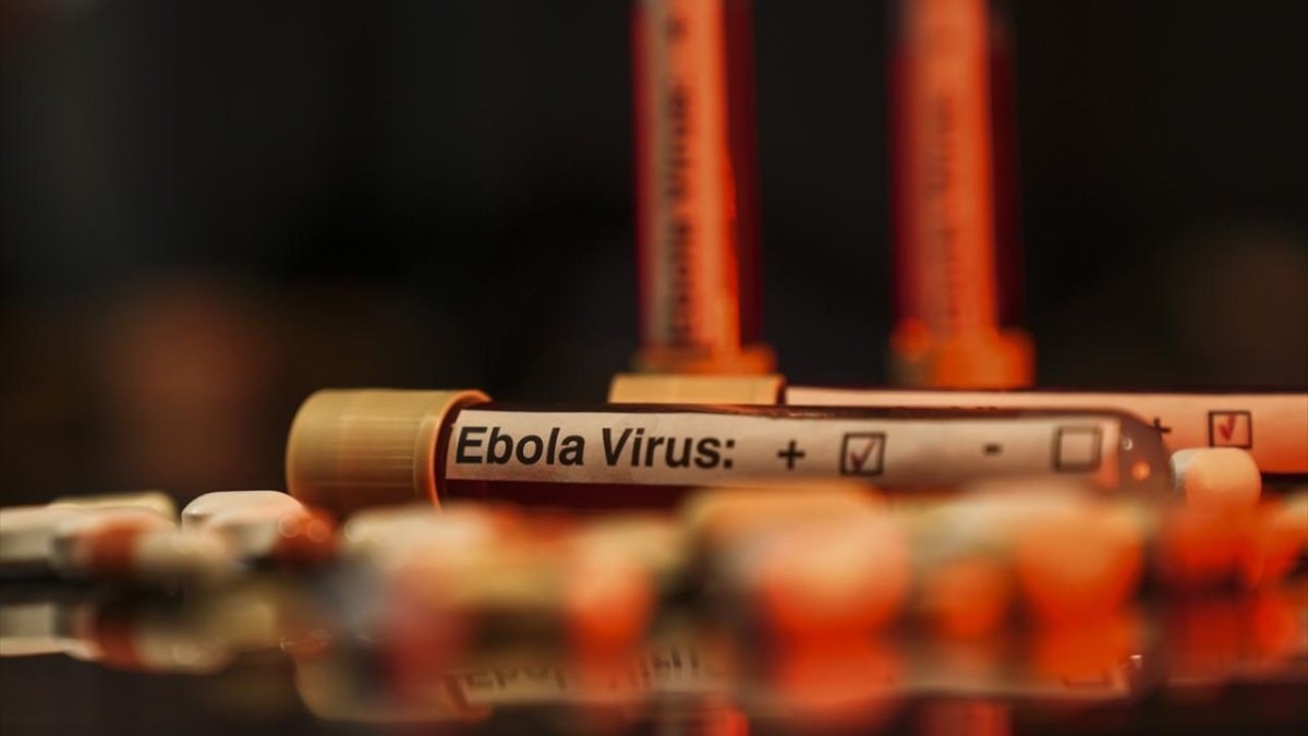 Ebola salgını büyüyor: Virüs mutasyona uğramış olabilir