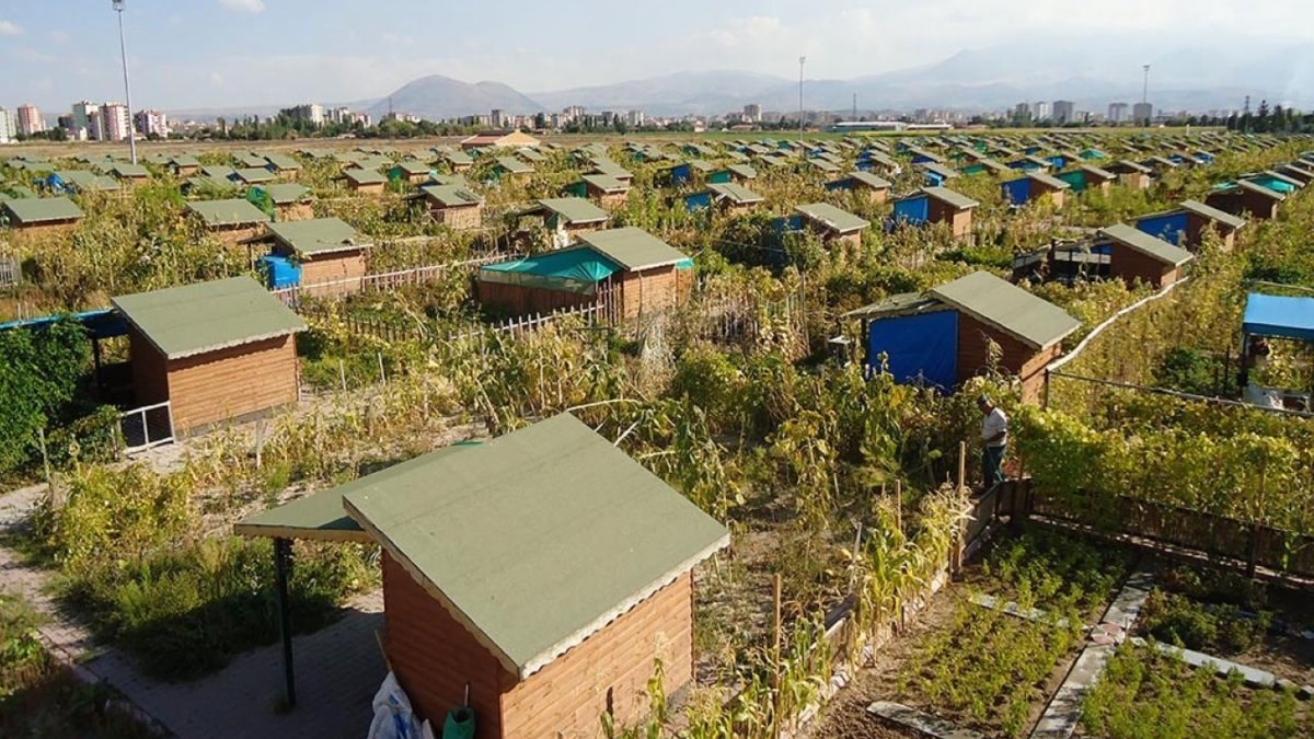 Hobi bahçeleri ve bungalovlar için yeni dönem: Arazi sınırlaması değişti