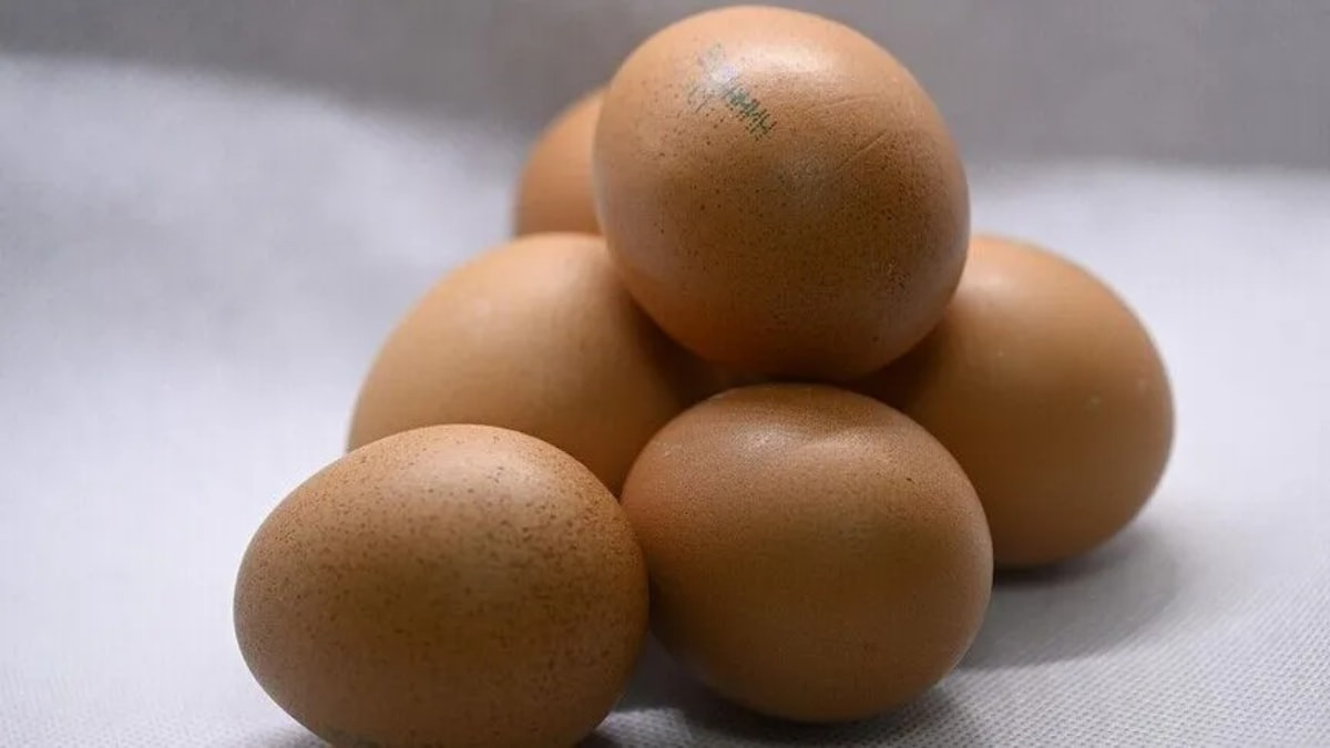 İngiltere’de salmonella alarmı: 1 kişi öldü, 207 kişide virüs tespit edildi