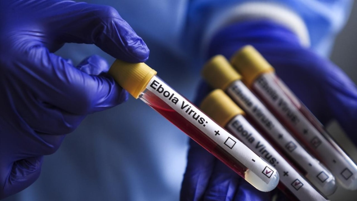 Kongo’da Ebola salgını: 2 bin 786’dan fazla can kaybı