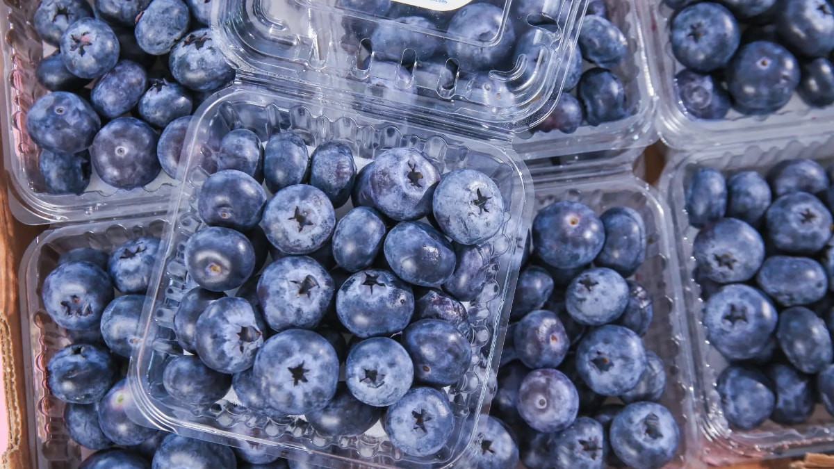Yaban mersinlerinde virüs çıktı! Tüm paketler geri çağrılıyor…
