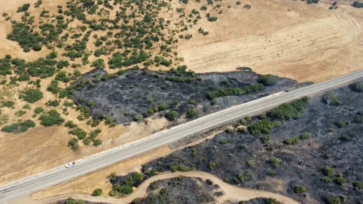 Elazığ’daki orman yangını kontrol altına alındı