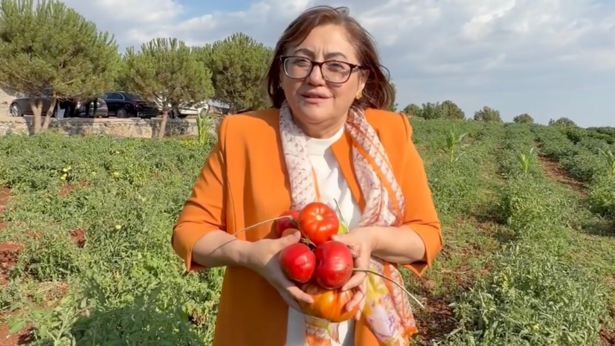 Fatma Şahin duyurdu: Gaziantep’te ata tohumu için düğmeye basıldı