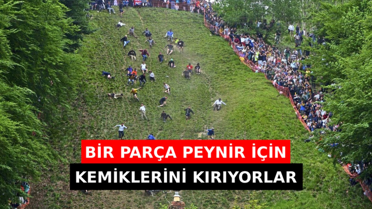 Ödülü sadece bir parça peynir: İnsanlar bu yarışta kemiklerini kırmayı göze alıyor