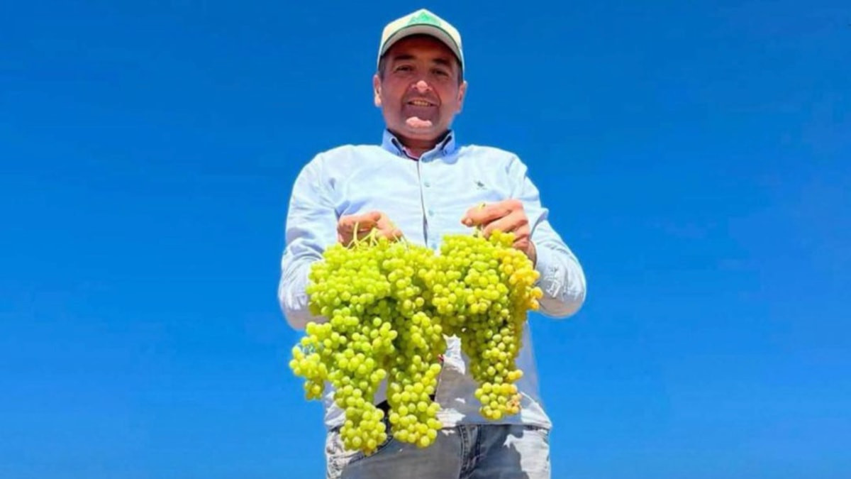 Saruhanlı Belediye Başkanı elini makineye kaptırdı: Ameliyata alındı